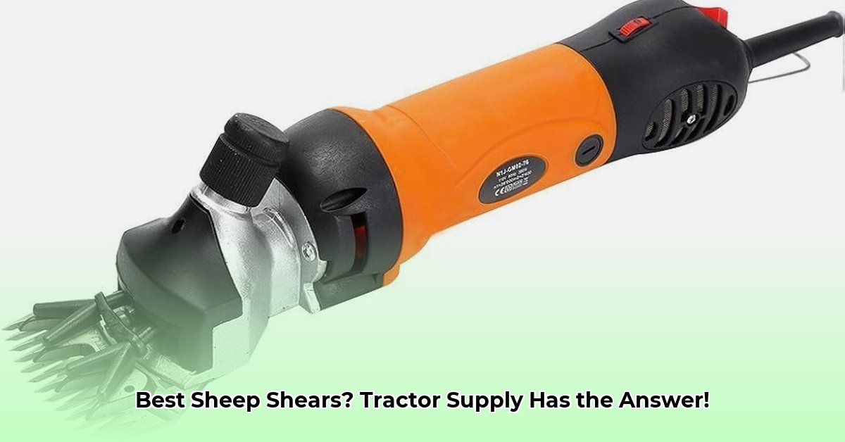 sheep-shears-at-tractor-supply